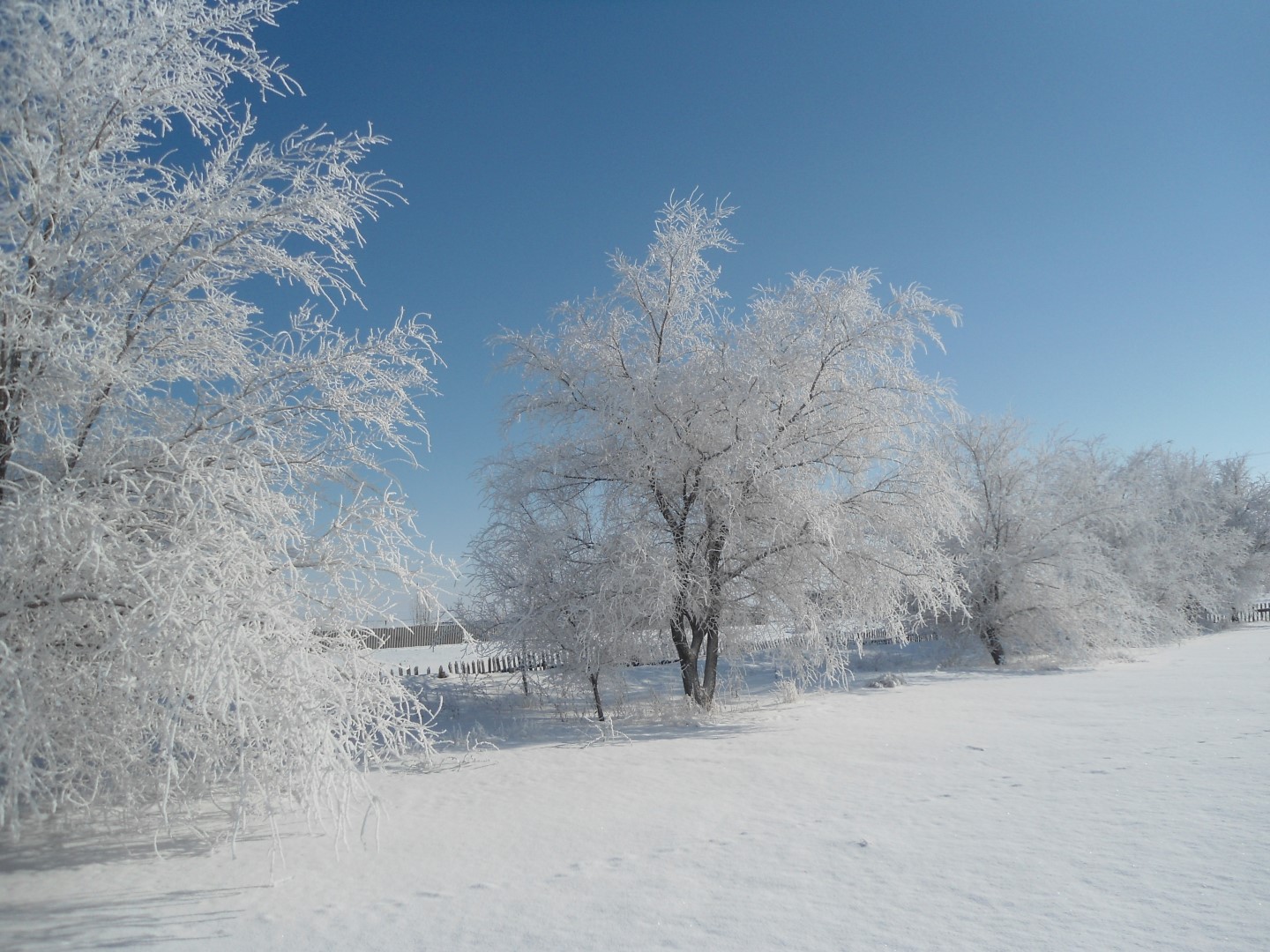 Онлайн-фотовыставка «Зимние пейзажи России»