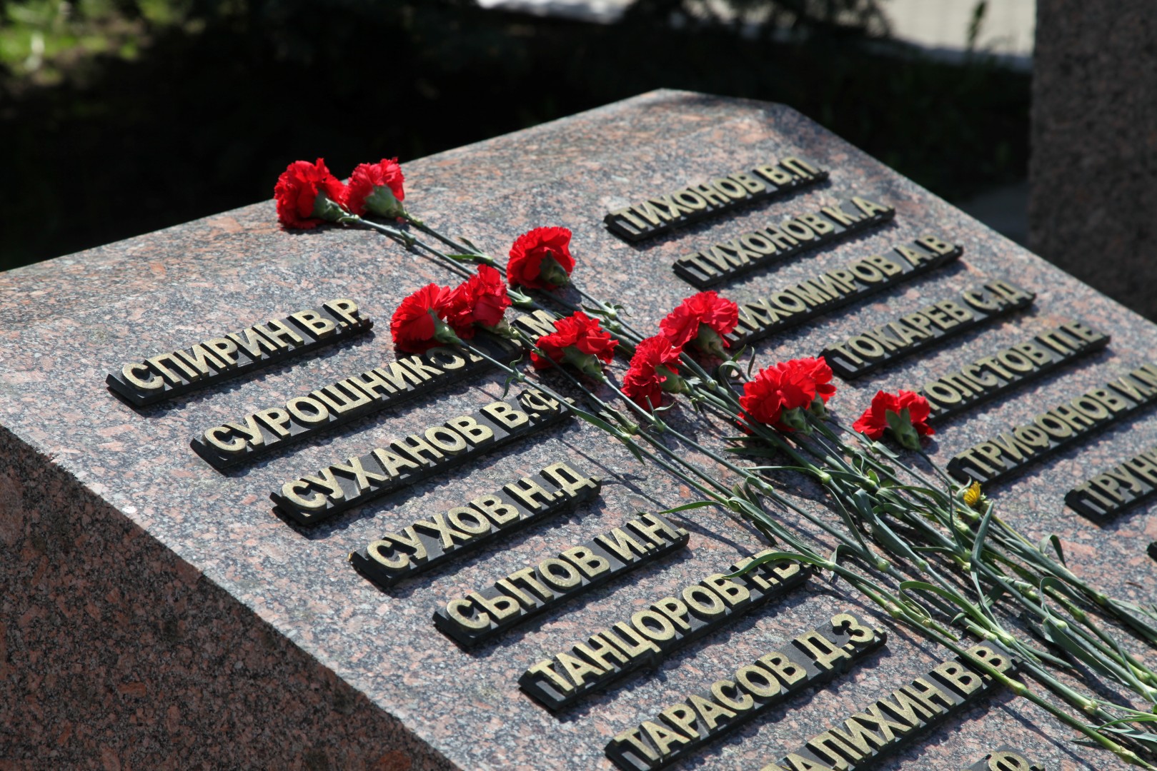 Персональная фотовыставка Викторовой Виктории, приуроченная к 80-летию Великой Победы