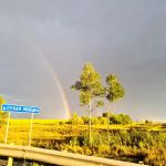 Перед грозой