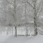 «Зима чудесная»
Автор: Сорвенкова Алёна