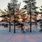 «Зима чудесная»
Автор: Сорвенкова Алёна