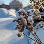 За окном"
Автор: Букина Анастасия