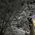 "Наша школа в зимнем убранстве"
Автор: Тюхтина Ангелина Викторовна, краеведческий клуб "Покровчане",