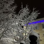 "Наша школа в зимнем убранстве"
Автор: Тюхтина Ангелина Викторовна, краеведческий клуб "Покровчане",