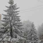 «Зимнее убранство»
Автор: Голубь Арина.