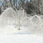 "Узоры Деда Мороза"
Автор: Харькова Олеся