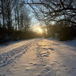 Кайвалиева Инара Байкаловна