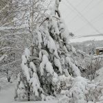 «Все деревья в белых шубках, мягкий падает снежок...»
Автор: Ермакова Ирина Сергеевна