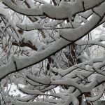 «Все деревья в белых шубках, мягкий падает снежок...»
Автор: Ермакова Ирина Сергеевна