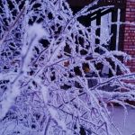 «Морозный вечер»
Автор: Бисерова Любовь Егоровна