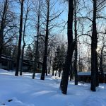 «Бескрайняя Россия»
Автор: Богайчук Наталья Игоревна