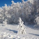 «Хороша деревня зимняя»
Автор: Евсеева Оксана Витальевна