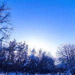 «Красота Кумысной поляны»,
Автор: Логачева Татьяна