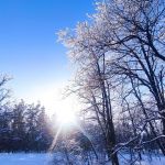 «Красота Кумысной поляны»,
Автор: Логачева Татьяна