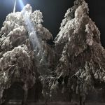 "Сказочные ели Деда Мороза"
Автор: Девяткин Владимир