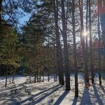 «Зимнее утро»
Автор: Блошкун Виктория