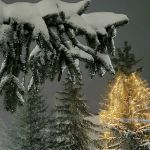 «Под старый Новый год» Автор: Виктор Бабин