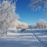 «Мороз и солнце; день чудесный!» Автор Салимова Балкия