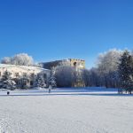 "Морозный день"
Автор работ Моисеева Татьяна