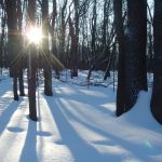 Викторова Виктория, г. Саратов