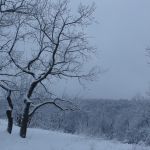 Викторова Виктория, г. Саратов