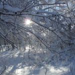 Викторова Виктория, г. Саратов