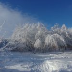 Викторова Виктория, г. Саратов