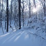 Викторова Виктория, г. Саратов